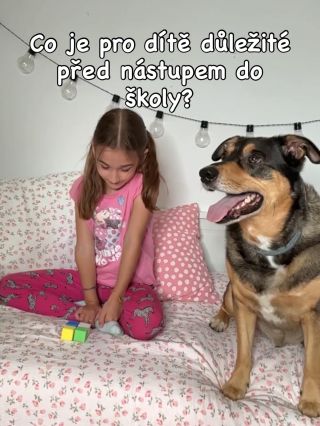 🎯 Nejde o čtení ani počítání. Důležité jsou ZÁKLADNÍ DOVEDNOSTI: 👂 Sluch – pozná první hlásku ve slově? Slyší rozdíl mezi...